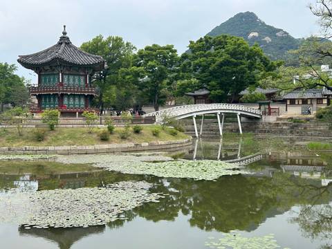       Traditional pavilion and arched bridge reflected in lotus pond at Gyeongbokgung Palace
  