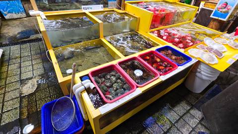       Colorful live seafood tanks and shellfish stalls at a bustling Korean fish market.
  