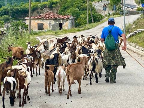       Photo d'avis client sur Cyclotourisme en Albanie 
  