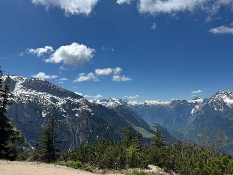       Snow-capped alpine peaks and deep valley under bright blue sky with pine foreground.
  