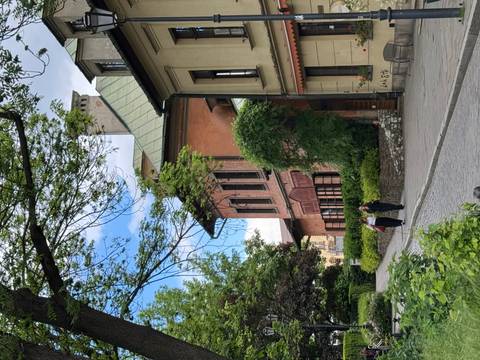       Quiet street lined with historical townhouses and greenery in old European quarter.
  