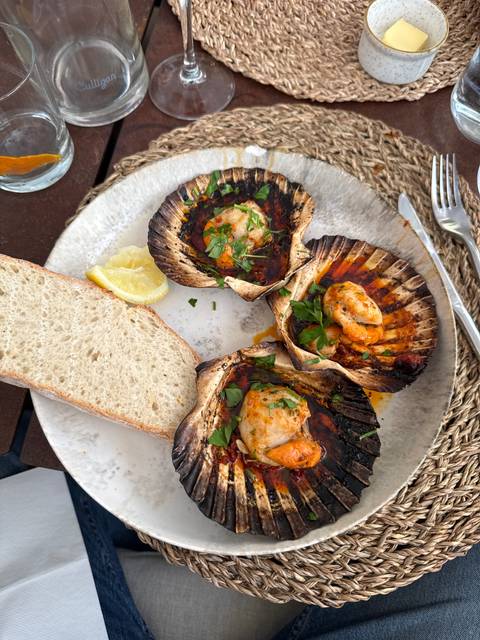       Gourmet plate of chargrilled scallops in shells with herbs, sauce and bread slice.
  