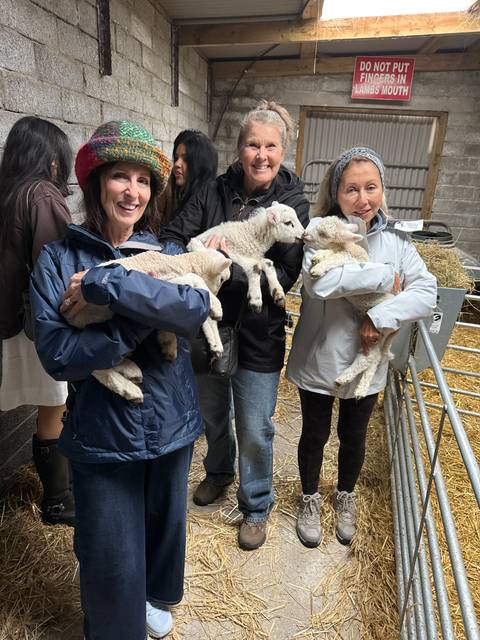       Three visitors smiling while cuddling baby lambs inside a rustic farm pen.
  