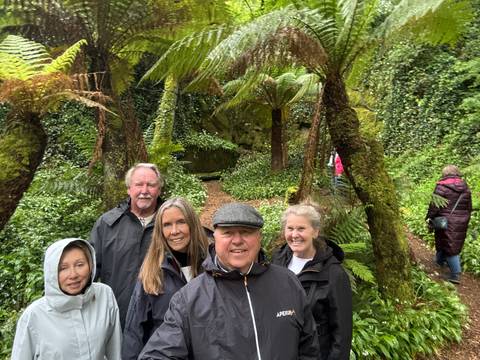       Group of travelers in rain jackets standing amid lush green ferns along a woodland path.
  