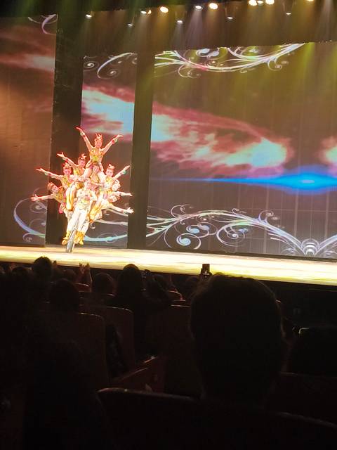       Stage performance with acrobats forming a tall human tower on unicycle indoors
  