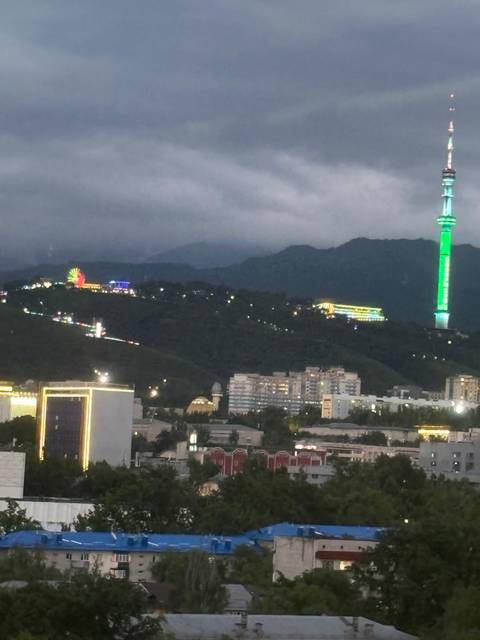       Nighttime cityscape of Almaty with illuminated TV tower and ferris wheel on a dark hillside, seen through hazy glass.
  