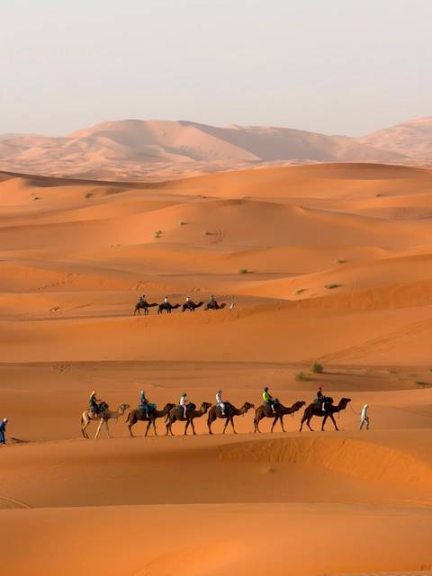       foto de reseña de cliente de Viaje privado de lujo de 13 días a Marruecos desde Casablanca | Hoteles de 4 y 5 estrellas 
  