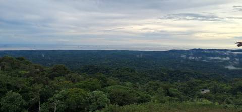       Elevated lookout over dense tropical rainforest stretching to a distant coastline beneath a moody sky.
  