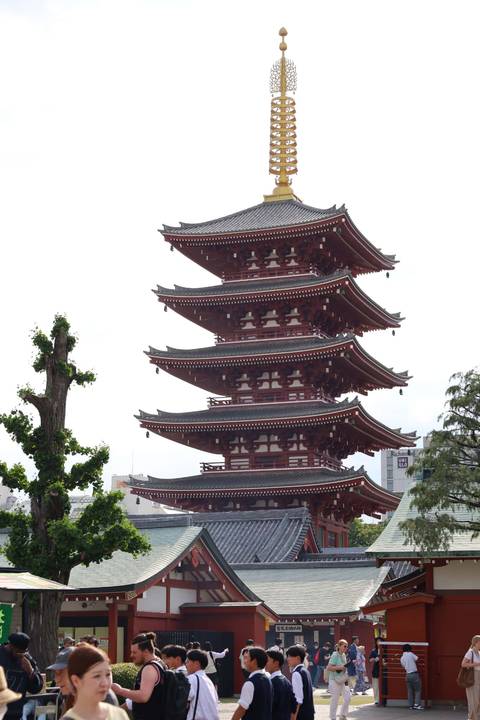       Five-storied pagoda with ornate wooden eaves standing against a pale sky
  