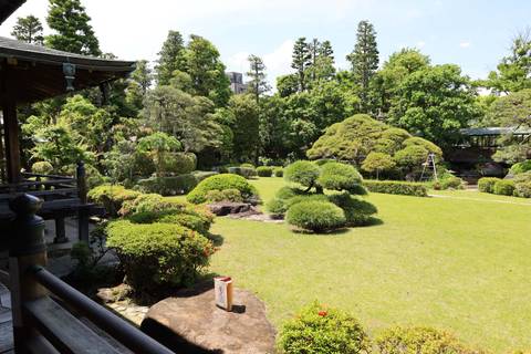       Quiet traditional garden courtyard with neatly trimmed shrubs and expansive lawn
  