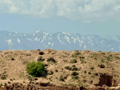       Snow-capped peaks of the Atlas Mountains rise beyond an arid rocky foreground with a single green tree
  