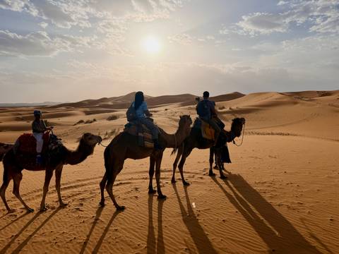       Silhouetted riders on camels trek across rolling Sahara dunes under the setting sun
  