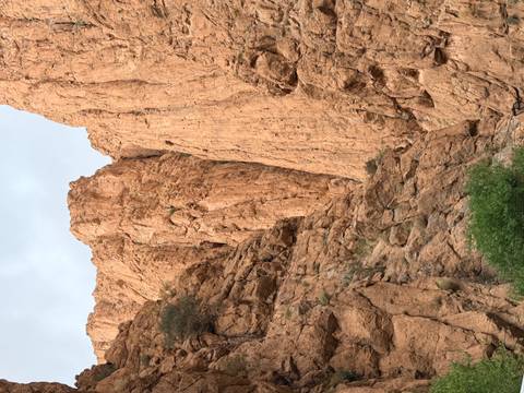       Towering orange limestone walls of Todra Gorge soar above scattered shrubs and boulders
  