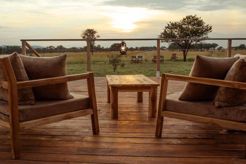      Wooden safari lodge deck with cushioned chairs overlooking grassy reserve at dawn
  