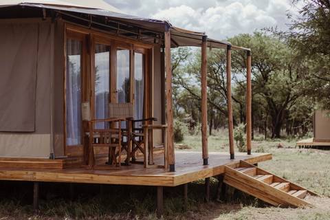       Canvas safari tent on raised wooden platform amid acacia trees in the bush
  