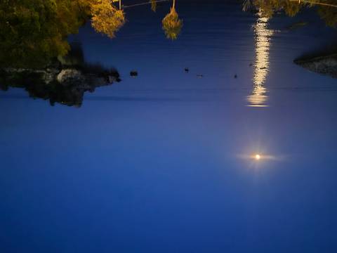       Night seascape with a full moon casting a shimmering reflection over calm blue waters and small rocky islet.
  