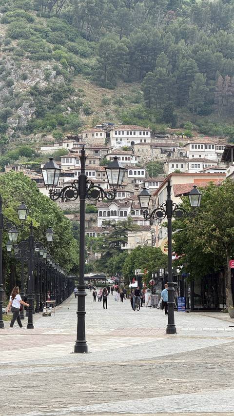       Historic Ottoman houses on a hillside framed by ornate black street lamps and leafy trees.
  