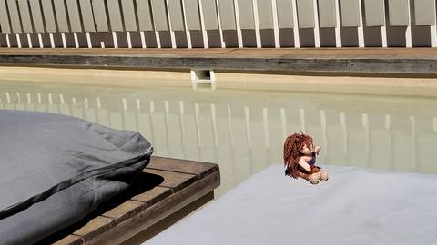       Small doll sitting on sunbed beside minimalist swimming pool.
  