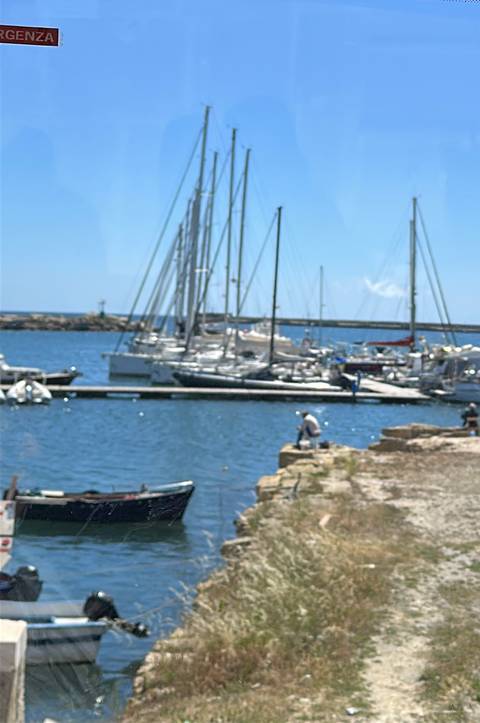       Blurry image of a marina with sailboats docked and a person crouching near the waterfront
  