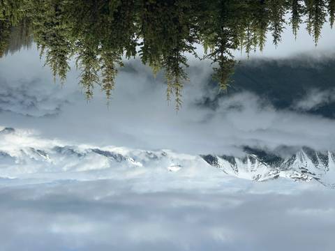       Clouds swirling below snow-tipped Rocky Mountain peaks with spruce treetops in the foreground.
  