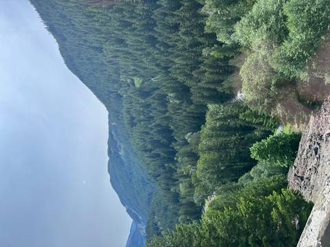       Vast green valley of densely forested slopes with a winding river visible from a high vantage point on a sunny day.
  