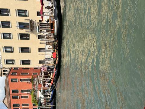       Gondolier maneuvers a gondola along Venice's Grand Canal beside colorful facades.
  