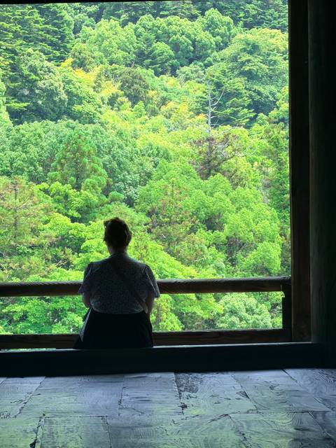       Silhouetted woman gazing at dense green forest from wooden balcony
  