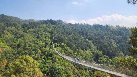       Suspension bridge spanning a lush green forest valley under a bright sky
  