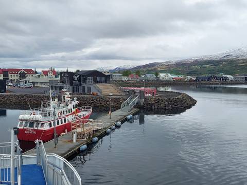       Quiet harbor scene with red patrol boat and colorful houses backed by snowy hills.
  