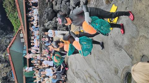      Traditional Jeju haenyeo divers present their catch to a large crowd on volcanic rocks by the sea.
  