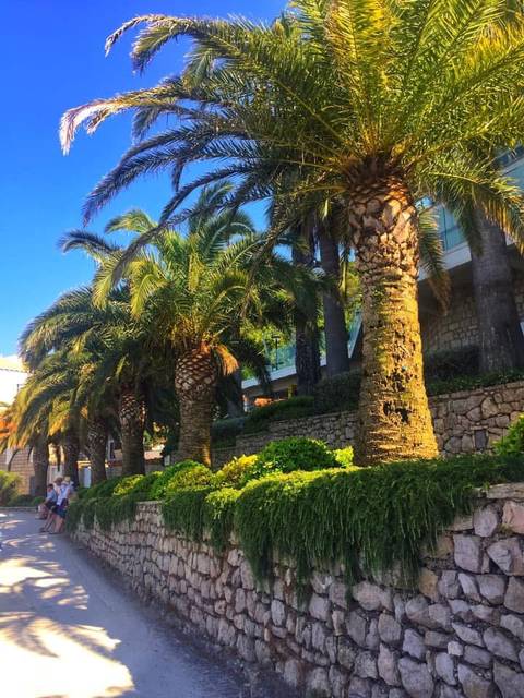       foto de reseña de cliente de Todo sobre los Balcanes (hoteles de 4 estrellas) 
  