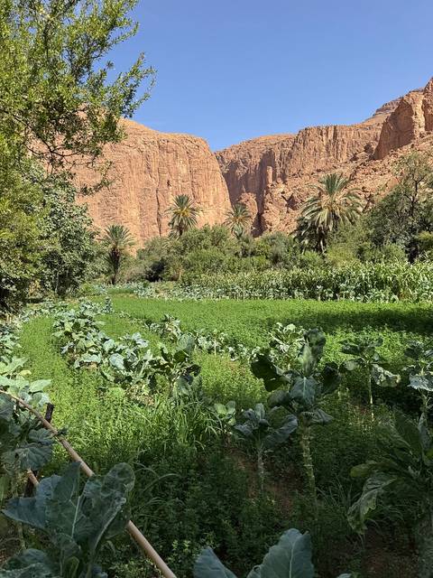       Photo d'avis client sur DE MARRAKESH A FES : 5 jours d'excursion dans le désert 
  