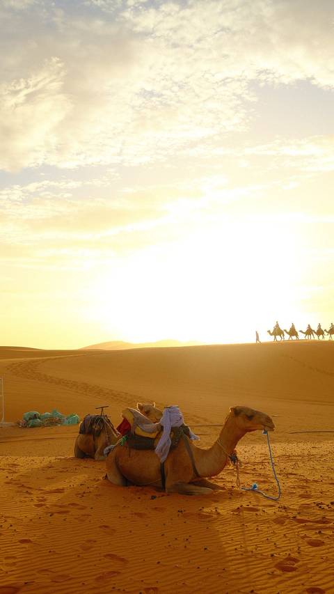       Photo d'avis client sur DE MARRAKESH A FES : 5 jours d'excursion dans le désert 
  