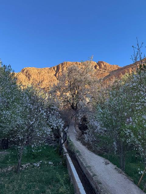       Photo d'avis client sur DE MARRAKESH A FES : 5 jours d'excursion dans le désert 
  