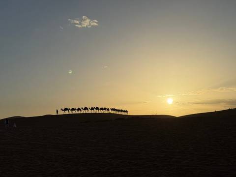       Photo d'avis client sur DE MARRAKESH A FES : 5 jours d'excursion dans le désert 
  