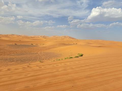       Photo d'avis client sur DE MARRAKESH A FES : 5 jours d'excursion dans le désert 
  