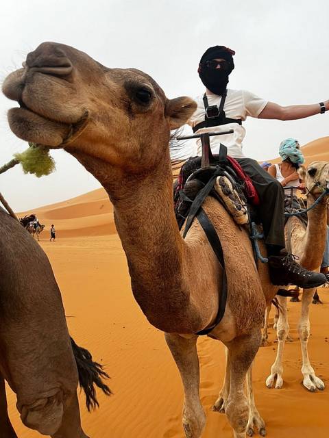       Close-up of camels with seated riders trekking across orange Sahara dunes.
  