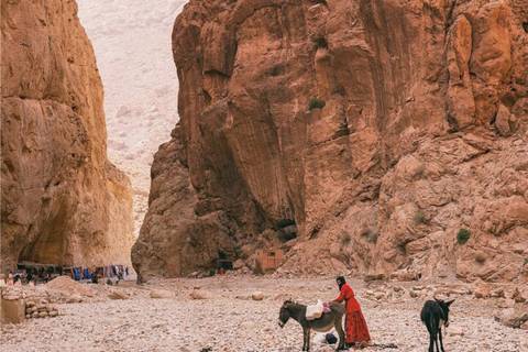       Steep sandstone walls form the dramatic Todra Gorge where a local leads a donkey.
  