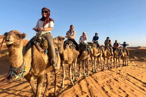       Travellers ride a line of camels across rippled dunes under clear blue skies.
  