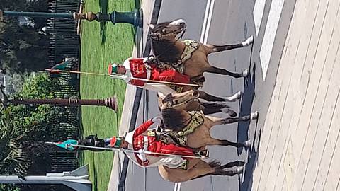       Two uniformed mounted guards on horses carrying flags parading along a city street.
  