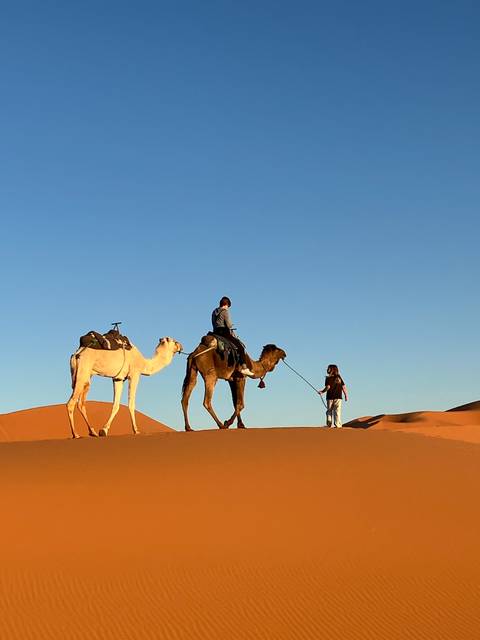 Itinerary Image 2