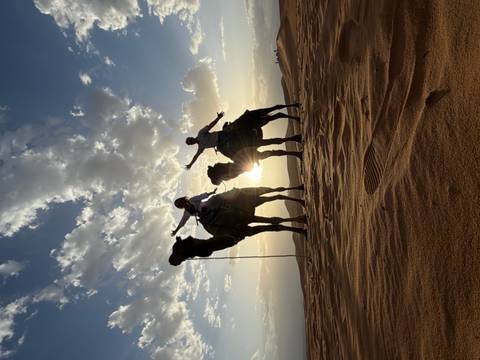       Silhouetted riders on camels strike joyful poses against a desert sunset.
  