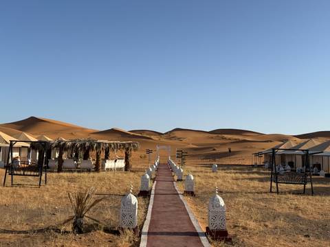       Luxury tented desert camp with a carpeted walkway leading toward golden dunes.
  