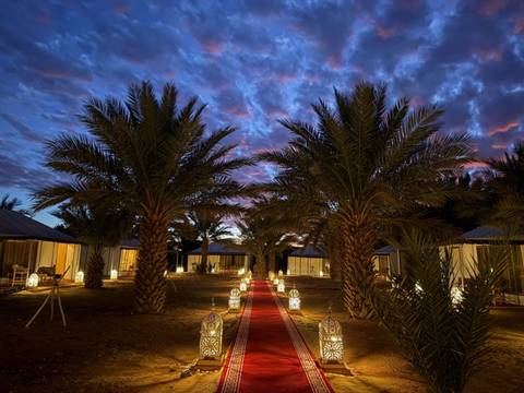       Nighttime desert camp pathway lit by lanterns beneath silhouettes of palm trees and vivid clouds.
  