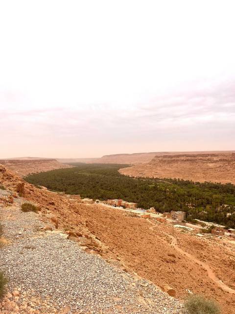       Broad green oasis valley contrasts with surrounding pink desert plateaus under hazy sky.
  