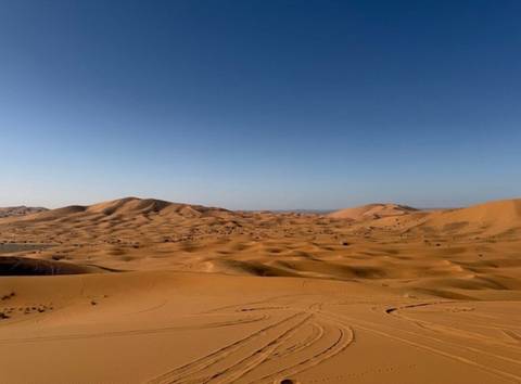       Vast golden Sahara sand dunes rolling beneath a clear blue sky
  