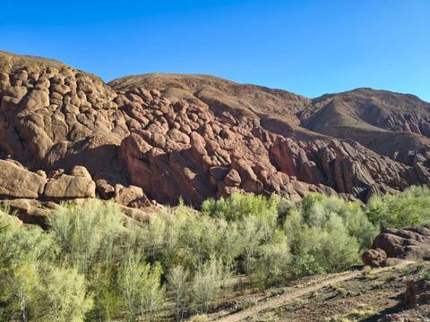       Rugged red rock formations known as Monkey Fingers rise above green shrubs in clear light
  