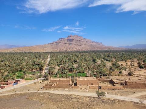       Lush palm oasis spreads across a plain beneath a rugged mountain peak in clear skies
  