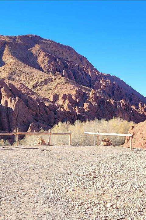       Distinctive red rock spires rise above pale trees under a bright blue sky
  