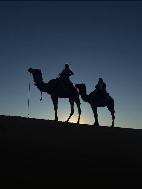       Silhouette of two riders on camels against a dusky sky with the sun behind them
  